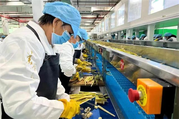 华南城：2024年亏损8976亿港元