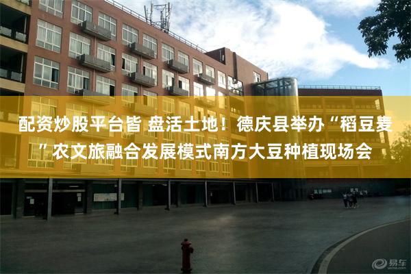 配资炒股平台皆 盘活土地！德庆县举办“稻豆麦”农文旅融合发展模式南方大豆种植现场会