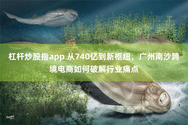 杠杆炒股指app 从740亿到新枢纽，广州南沙跨境电商如何破解行业痛点