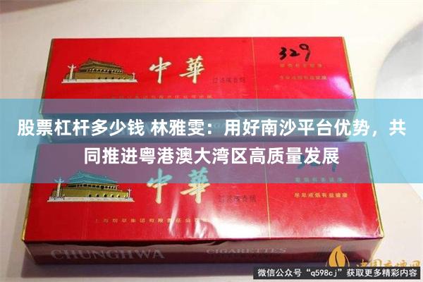 股票杠杆多少钱 林雅雯：用好南沙平台优势，共同推进粤港澳大湾区高质量发展