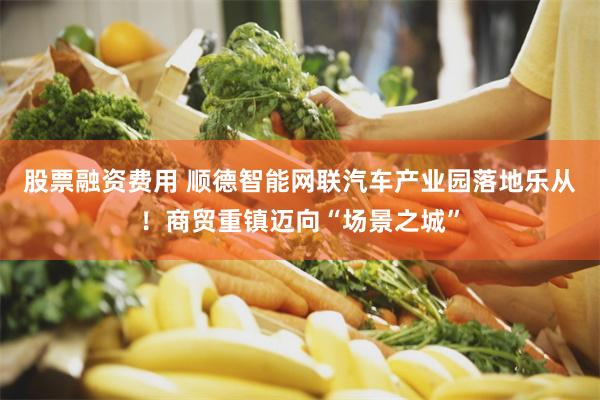 股票融资费用 顺德智能网联汽车产业园落地乐从！商贸重镇迈向“场景之城”