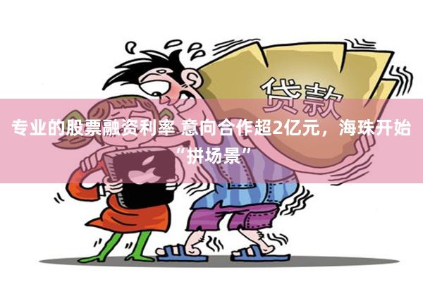 专业的股票融资利率 意向合作超2亿元，海珠开始“拼场景”