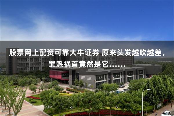 股票网上配资可靠大牛证券 原来头发越吹越差，罪魁祸首竟然是它……