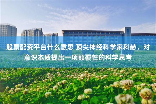 股票配资平台什么意思 顶尖神经科学家科赫,对意识本质提出一项颠覆性的科学思考