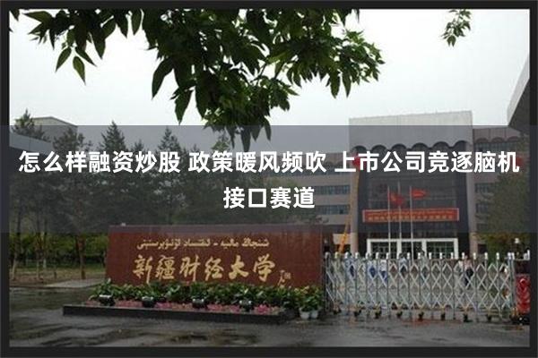 怎么样融资炒股 政策暖风频吹 上市公司竞逐脑机接口赛道