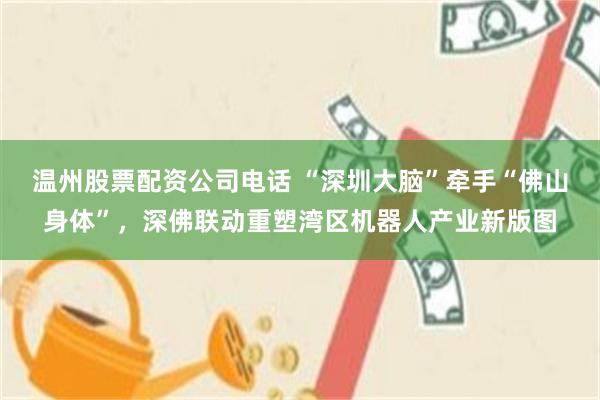 温州股票配资公司电话 “深圳大脑”牵手“佛山身体”，深佛联动重塑湾区机器人产业新版图