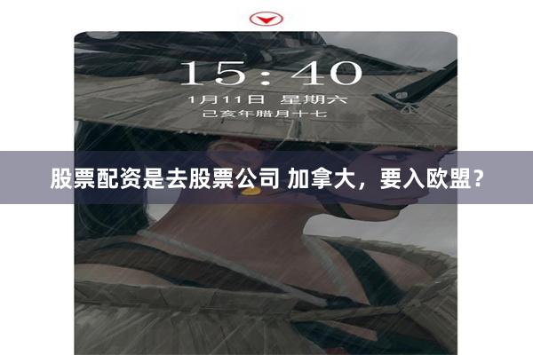 股票配资是去股票公司 加拿大，要入欧盟？