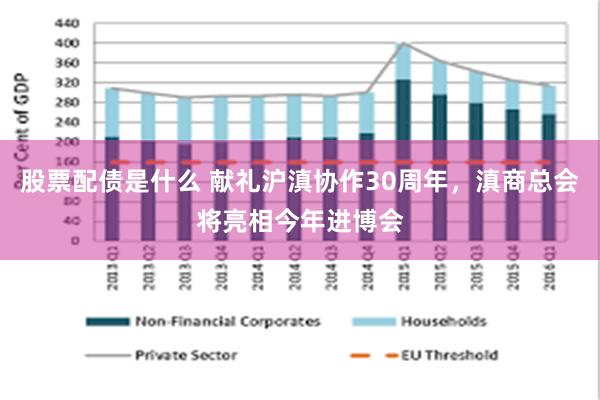 股票配债是什么 献礼沪滇协作30周年，滇商总会将亮相今年进博会