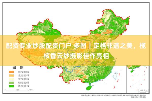配资专业炒股配资门户 多图｜定格非遗之美，榄核香云纱摄影佳作亮相